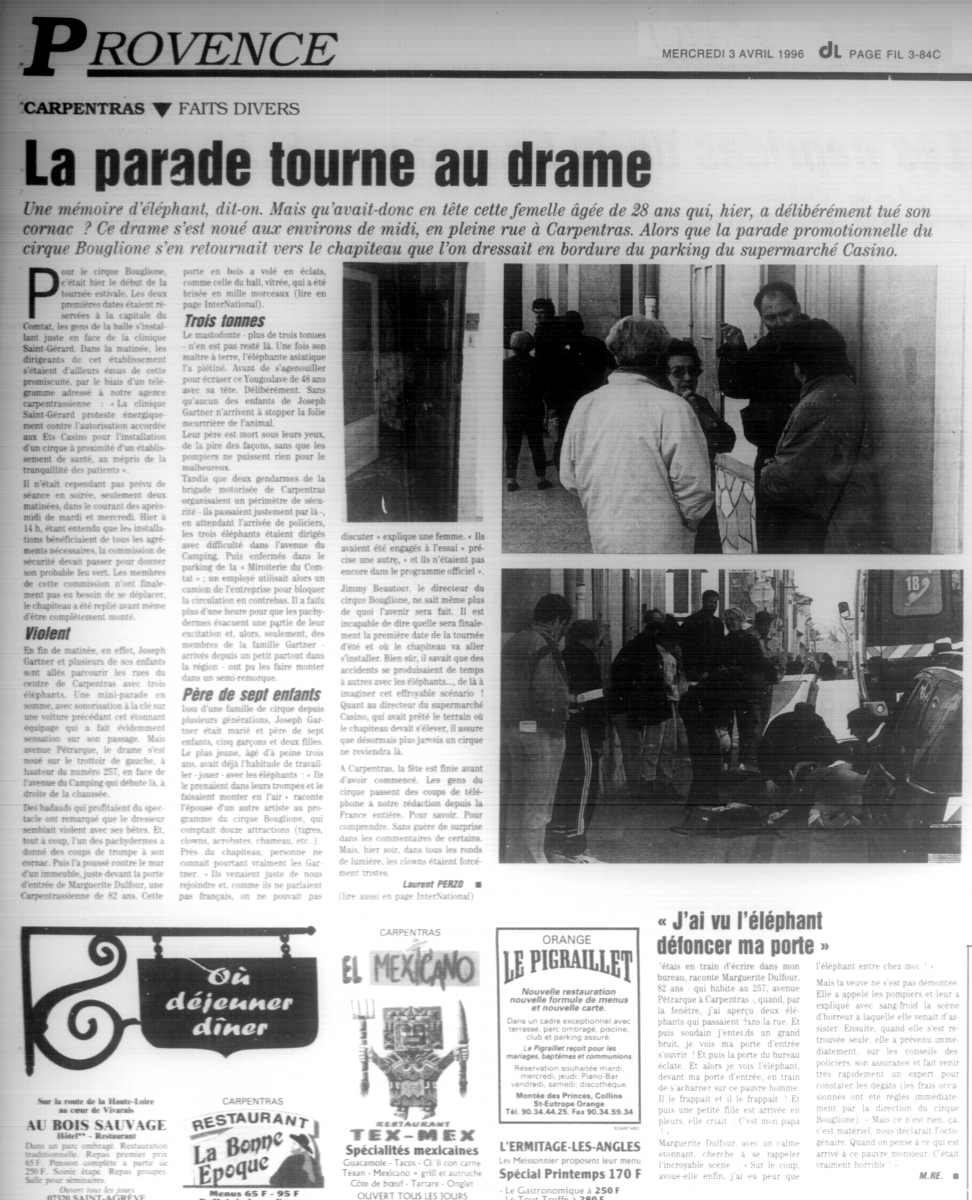 Vaucluse Matin Dauphiné Libéré  3 avril 1996 (éléphante tue Joseph Gartner Carpentras).jpg